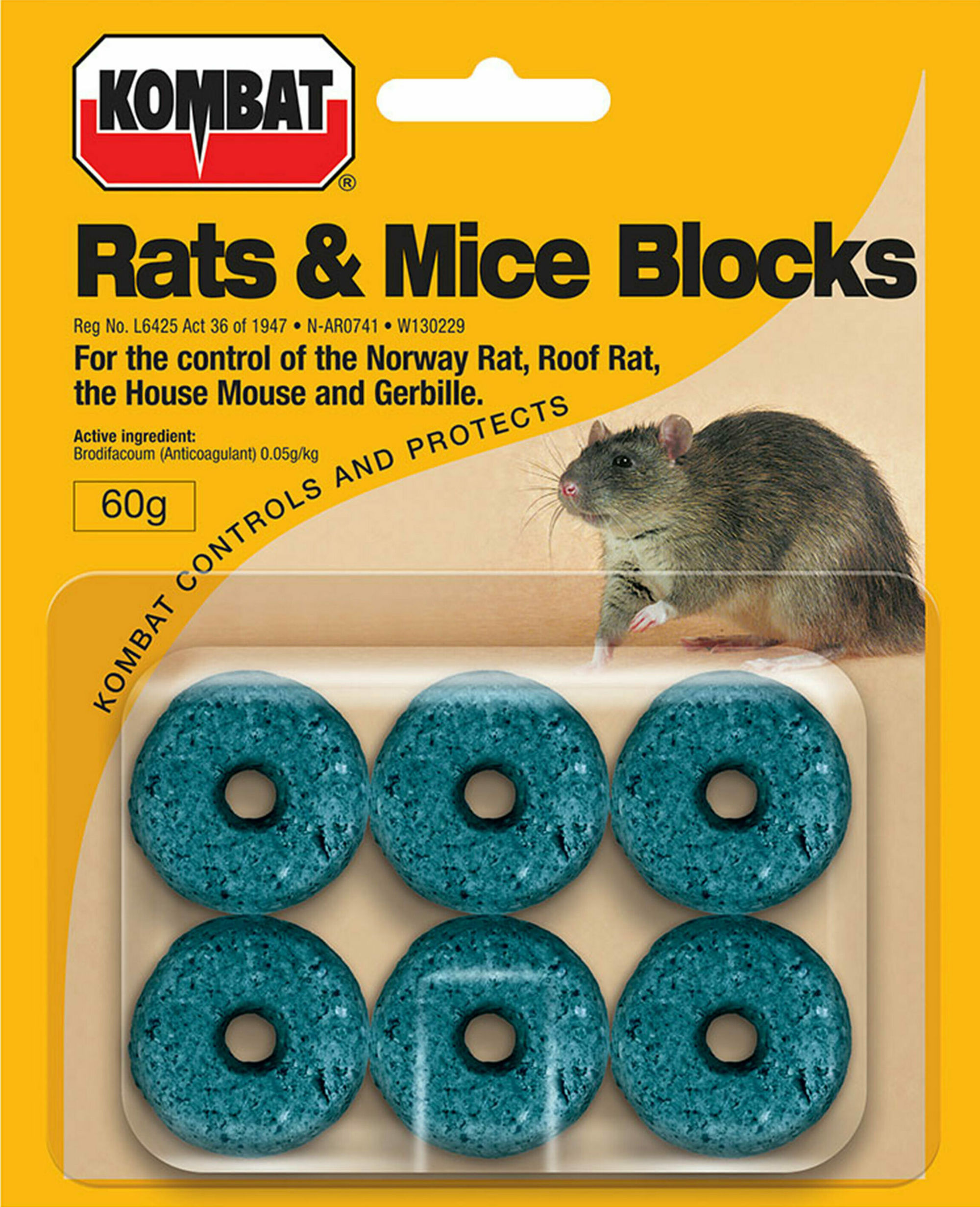 Blocks 2021 Blocks 2021