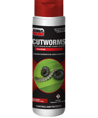 Cutworms 500g Cutworms 500g